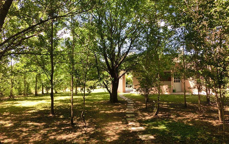 Ferienwohnung Complejo Aires Del Bosque Chascomús Exterior foto